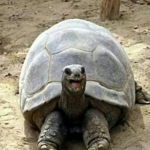 Clothing that no longer fits!